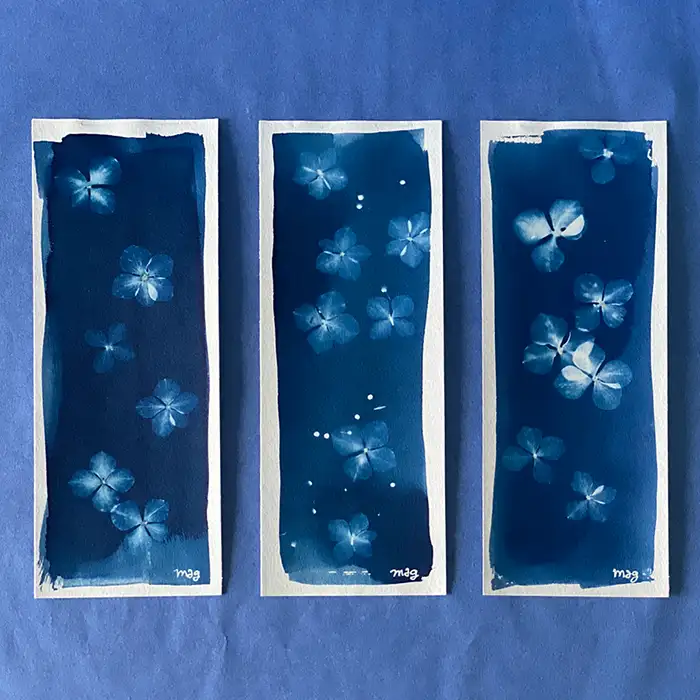 cyanotype marque-page