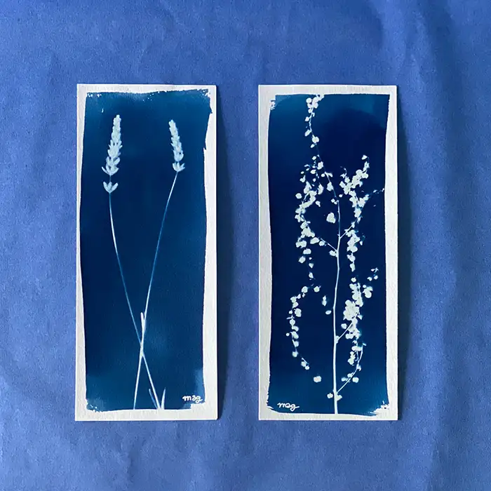 cyanotype marque-page