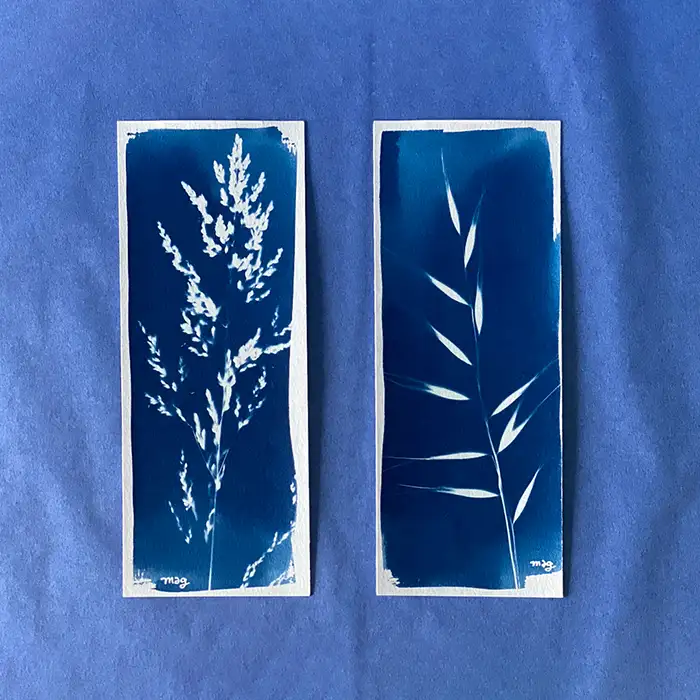 Cyanotype marque-page