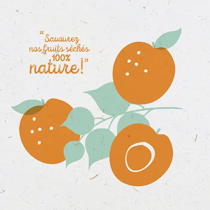 illustration abricots