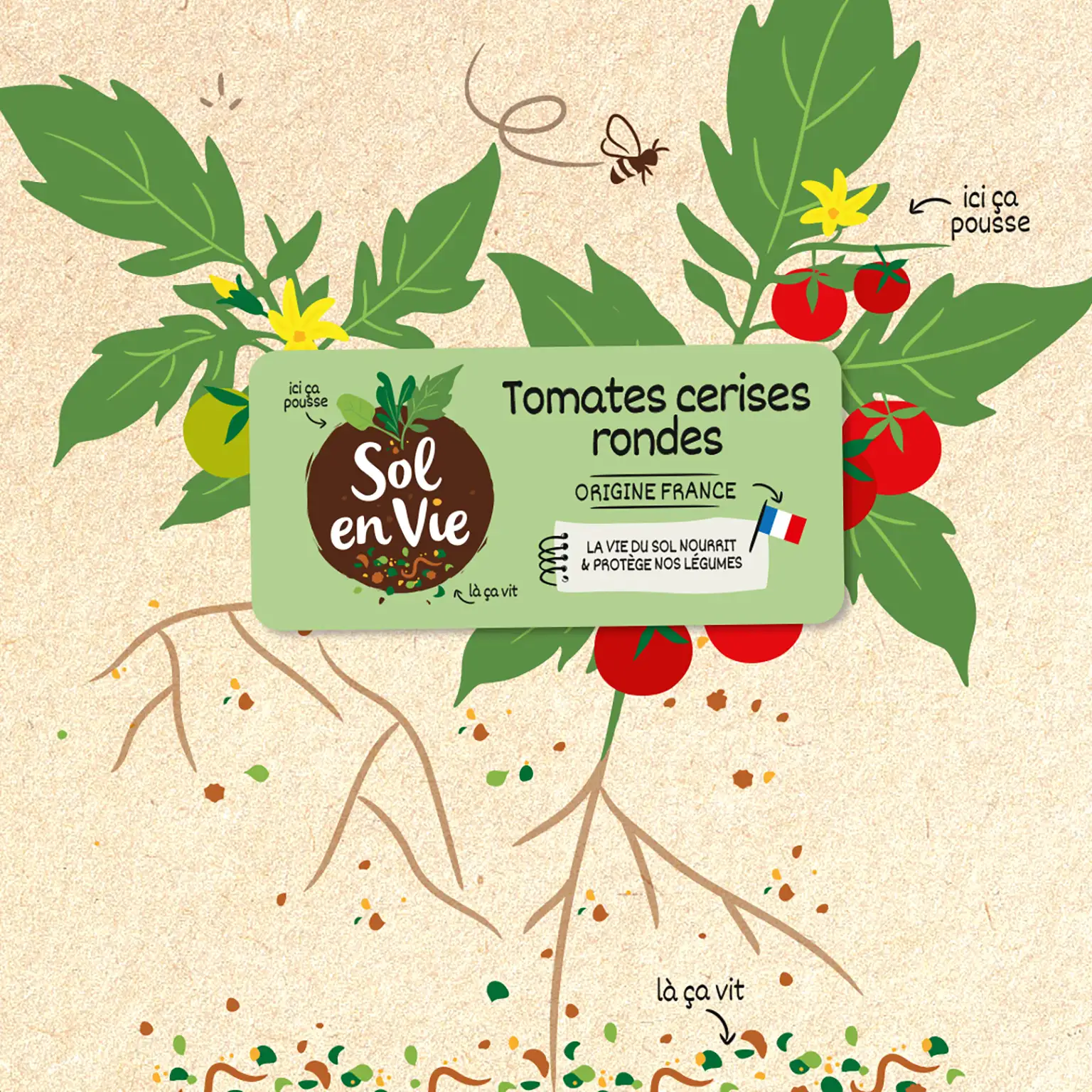 illustration tomate et étiquette solenvie